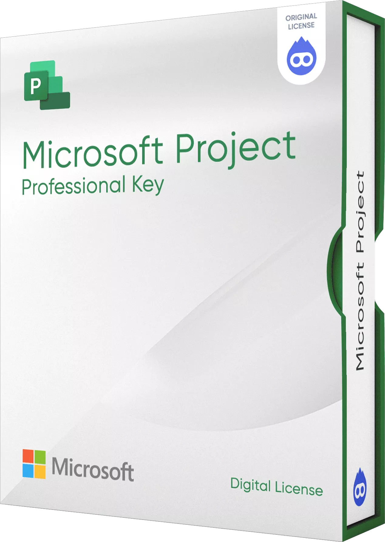 Microsoft Project Professional Satın Al