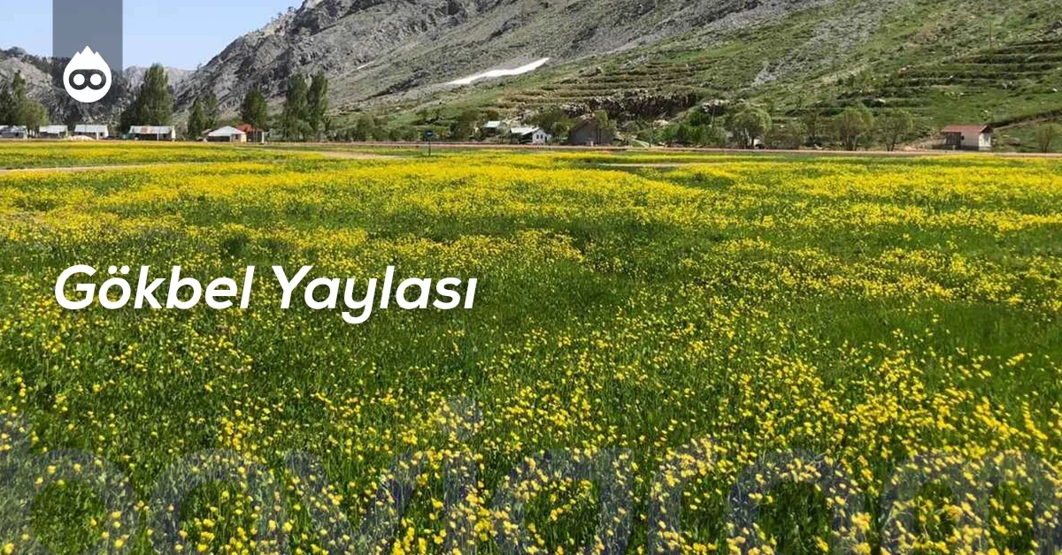 Alanya Gezilecek Yerler Gökbel Yaylası