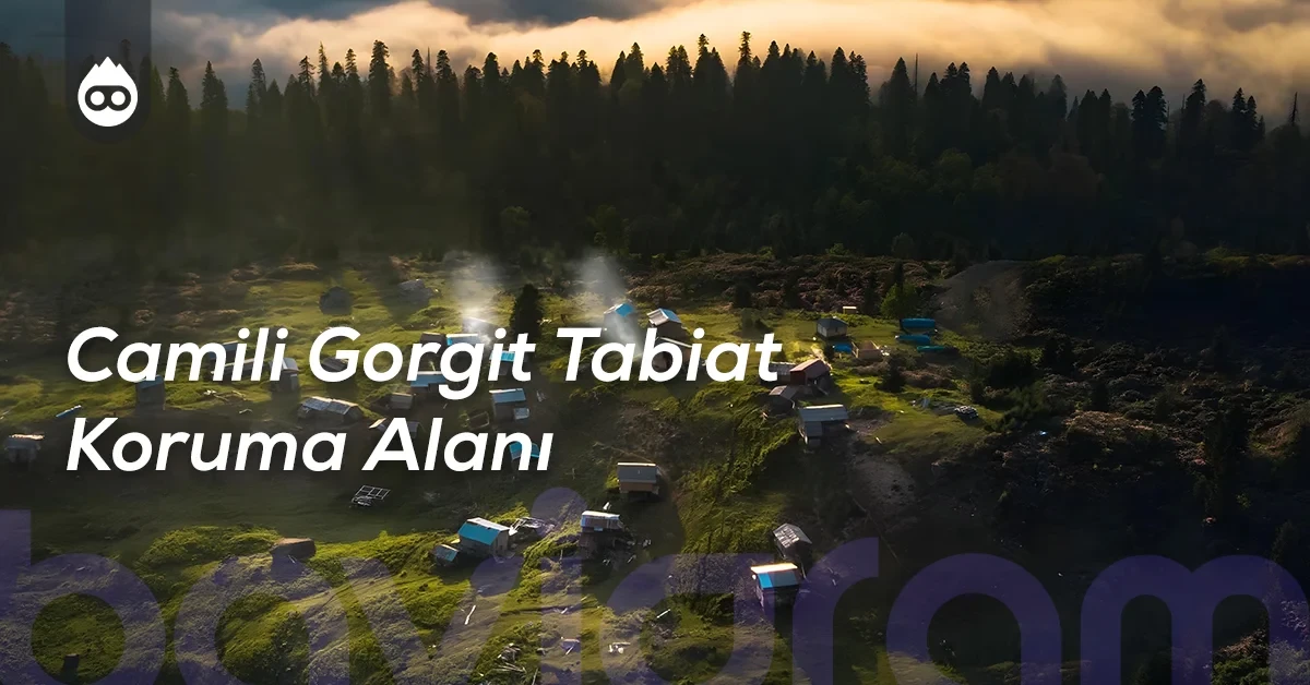 Artvin Gezilecek Yerler Camili Gorgit Tabiat Koruma Alanı