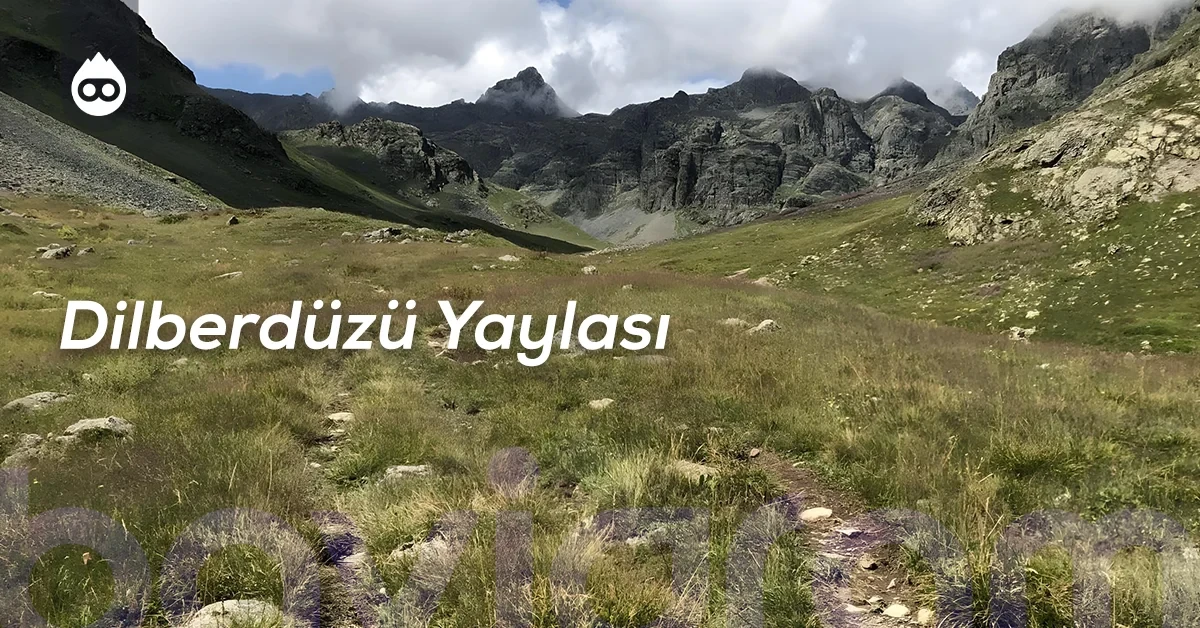Artvin Gezilecek Yerler Dilberdüzü Yaylası