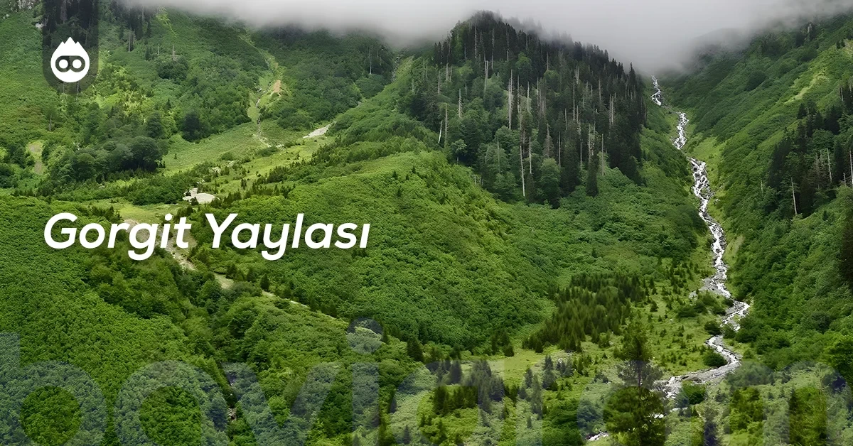 Artvin Gezilecek Yerler Gorgit Yaylası