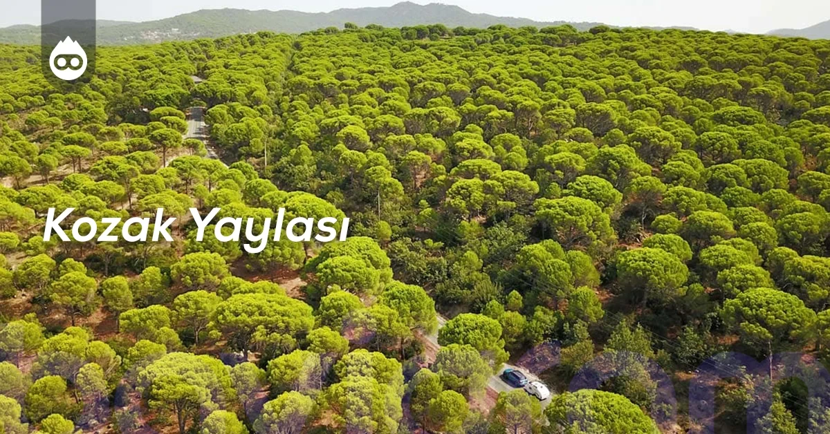 Ayvalık Gezilecek Yerler Kozak Yaylası