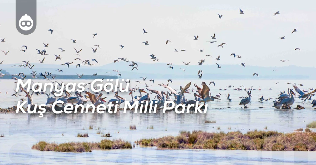 Balıkesir Gezilecek Yerler Manyas Gölü Kuş Cenneti Milli Parkı