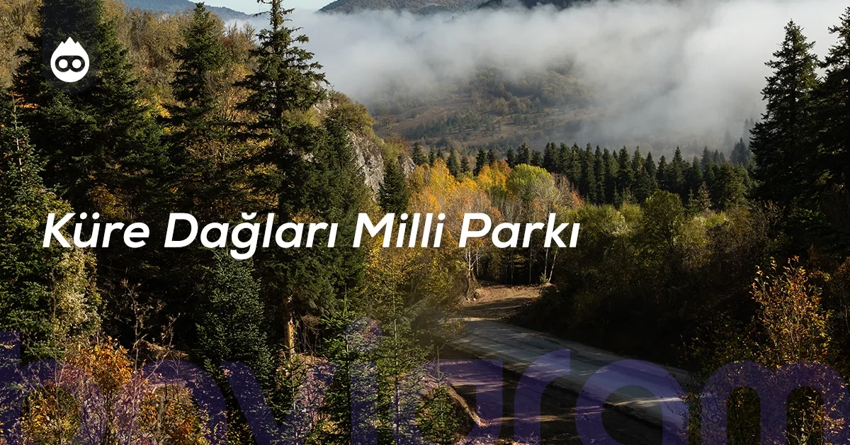 Bartın Gezilecek Yerler Küre Dağları Milli Parkı