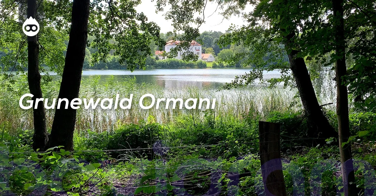 Berlin Gezilecek Yerler Grunewald Ormanı