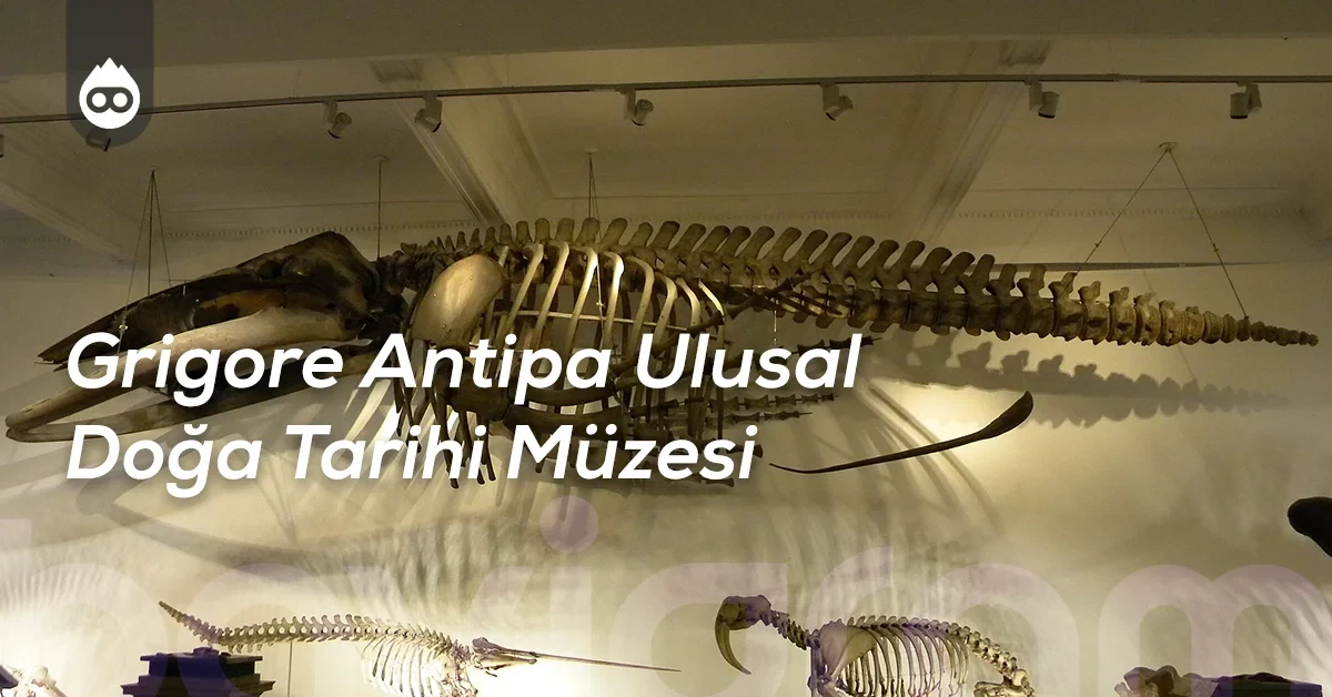 Bükreş Gezilecek Yerler Grigore Antipa Ulusal Doğa Tarihi Müzesi