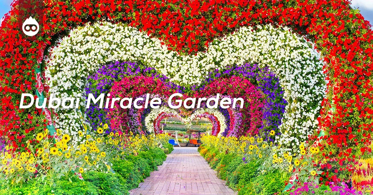 Dubai Gezilecek Yerler Dubai Miracle Garden