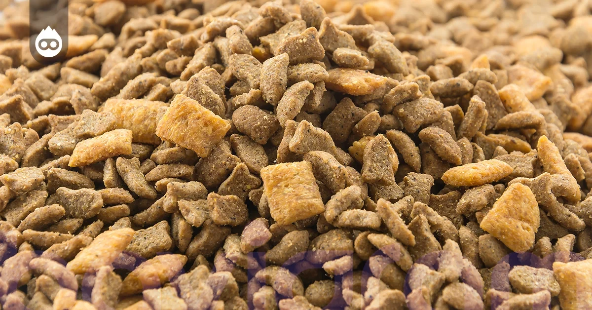 En İyi Kedi Maması N&D Düşük Tahıllı 5 Kg Kuzu Etli Yetişkin Kedi Maması