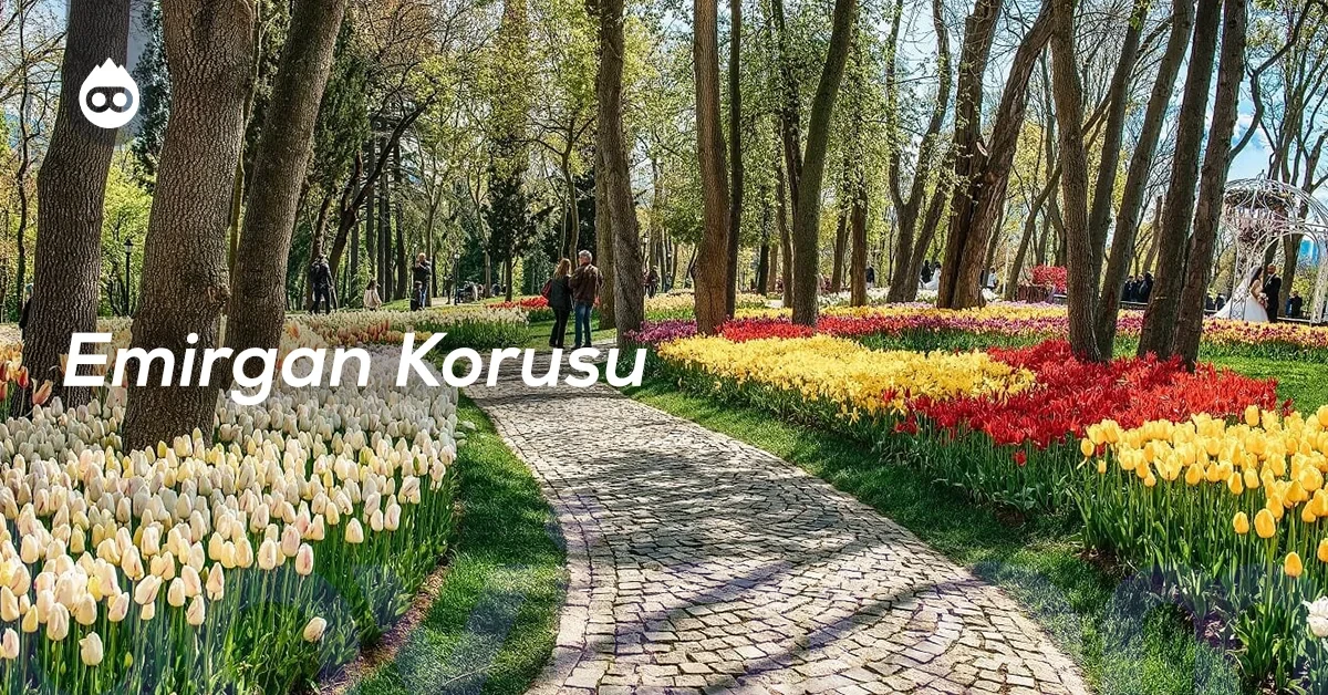 İstanbul Gezilecek Yerler Emirgan Korusu