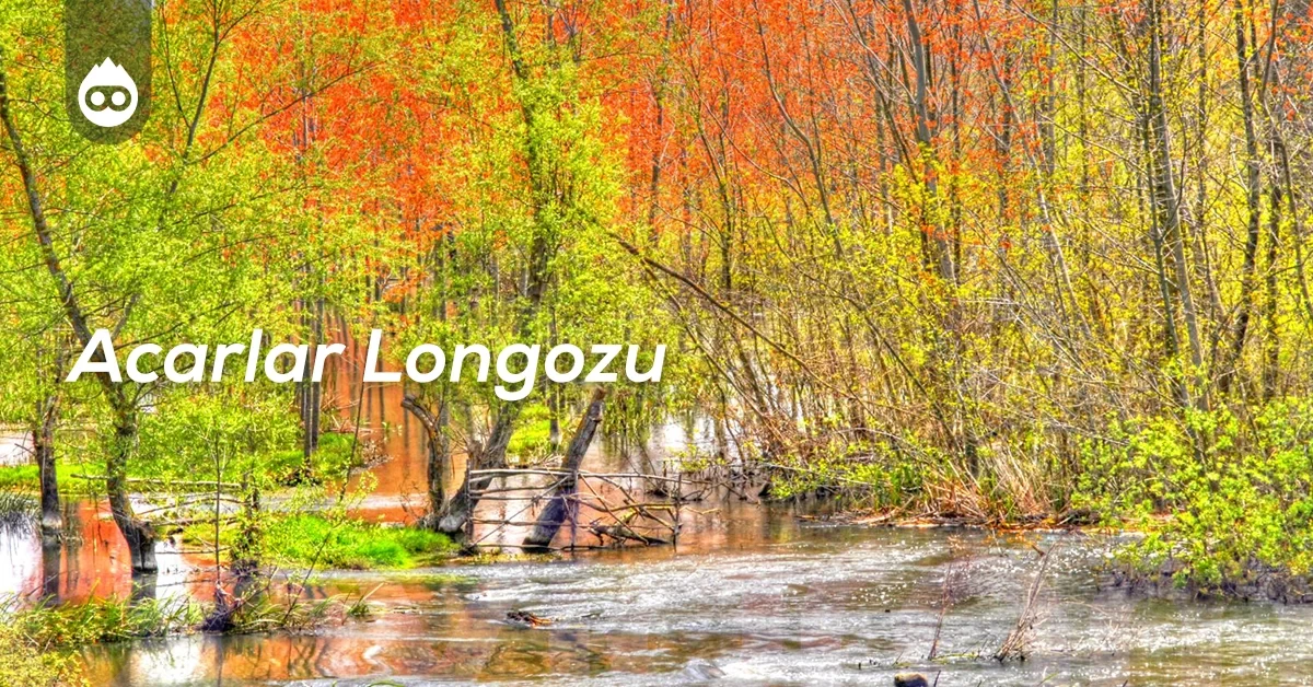 Sapanca Gezilecek Yerler Acarlar Longozu