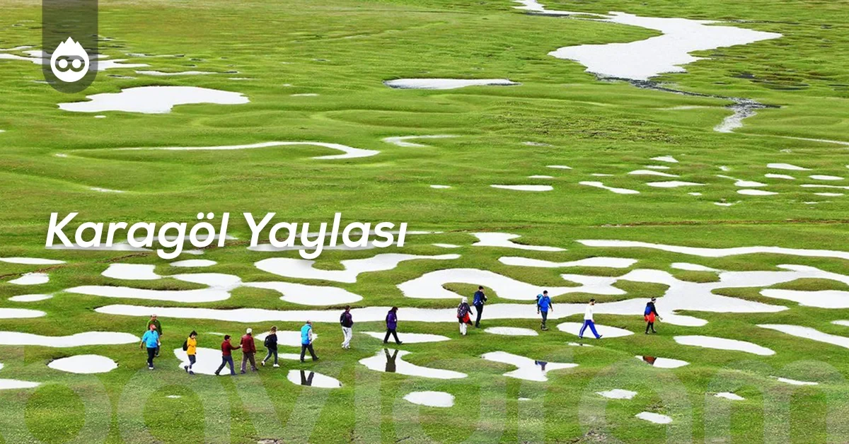 Sapanca Gezilecek Yerler Karagöl Yaylası