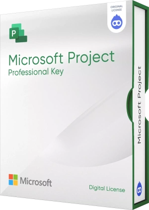 Microsoft Project Professional