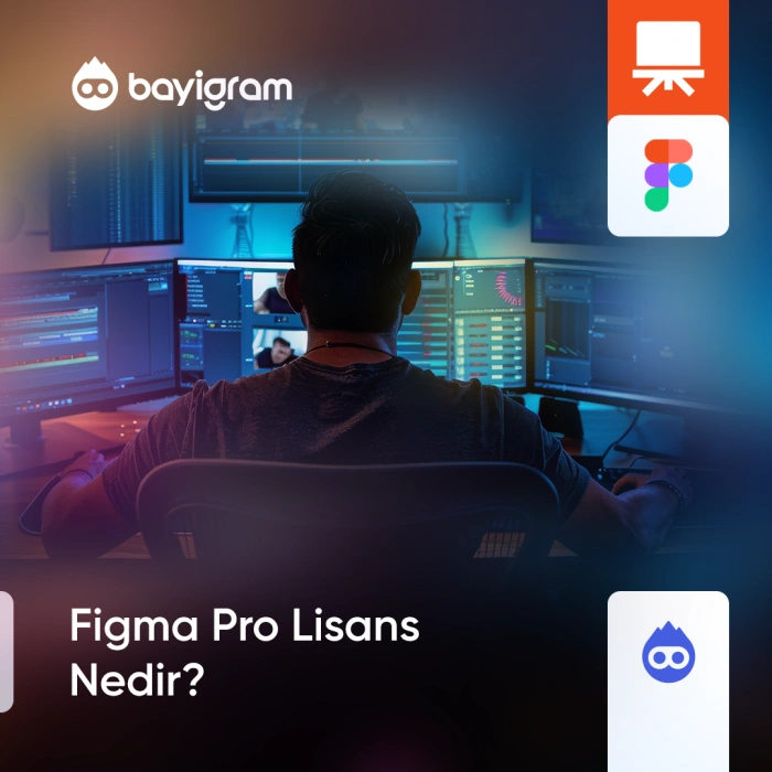Figma Pro Lisans Nedir?