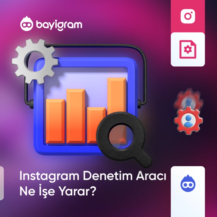 Instagram Denetim Aracı Ne İşe Yarar?