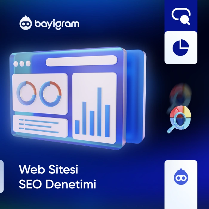 Web Sitesi SEO Denetimi